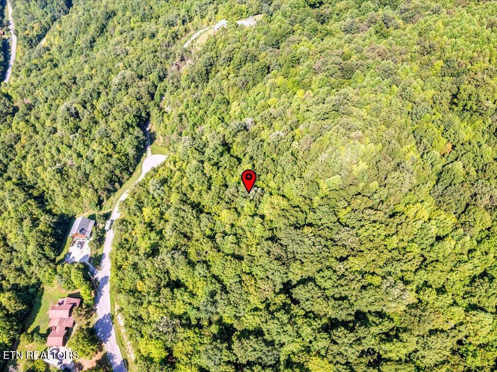 Lot 508 Hidden Springs Road New Tazewell, TN 37825 - Photo 16 of 33 Lot 508 Hidden Springs Rd - 14