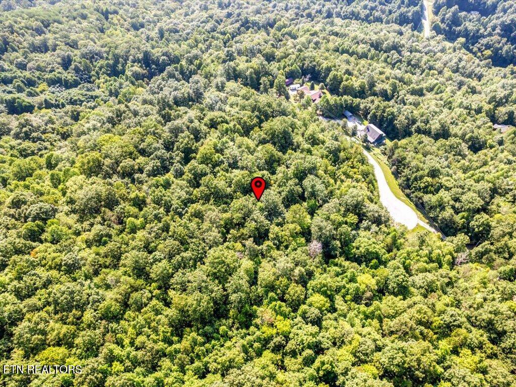 Lot 508 Hidden Springs Road New Tazewell, TN 37825 - Photo 19 of 33 Lot 508 Hidden Springs Rd - 17