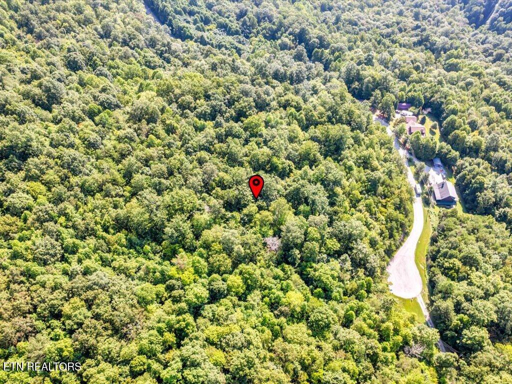 Lot 508 Hidden Springs Road New Tazewell, TN 37825 - Photo 20 of 33 Lot 508 Hidden Springs Rd - 18