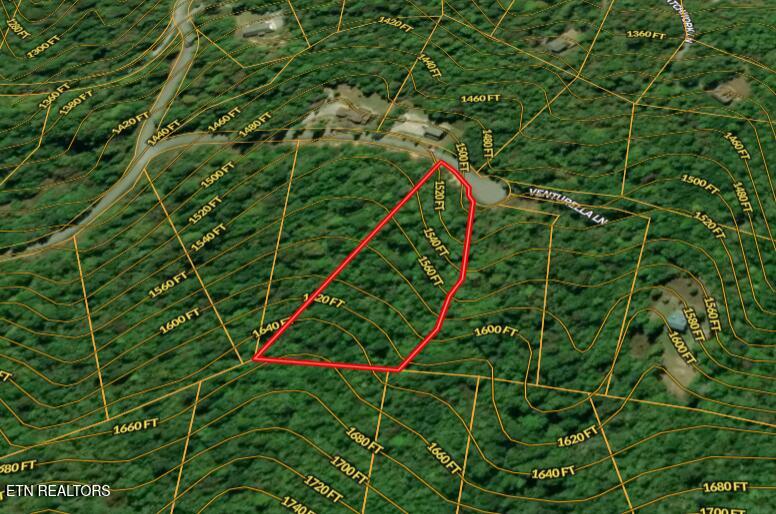 Lot 508 Hidden Springs Road New Tazewell, TN 37825 - Photo 6 of 33 Lot 508 Hidden Springs Rd - 5