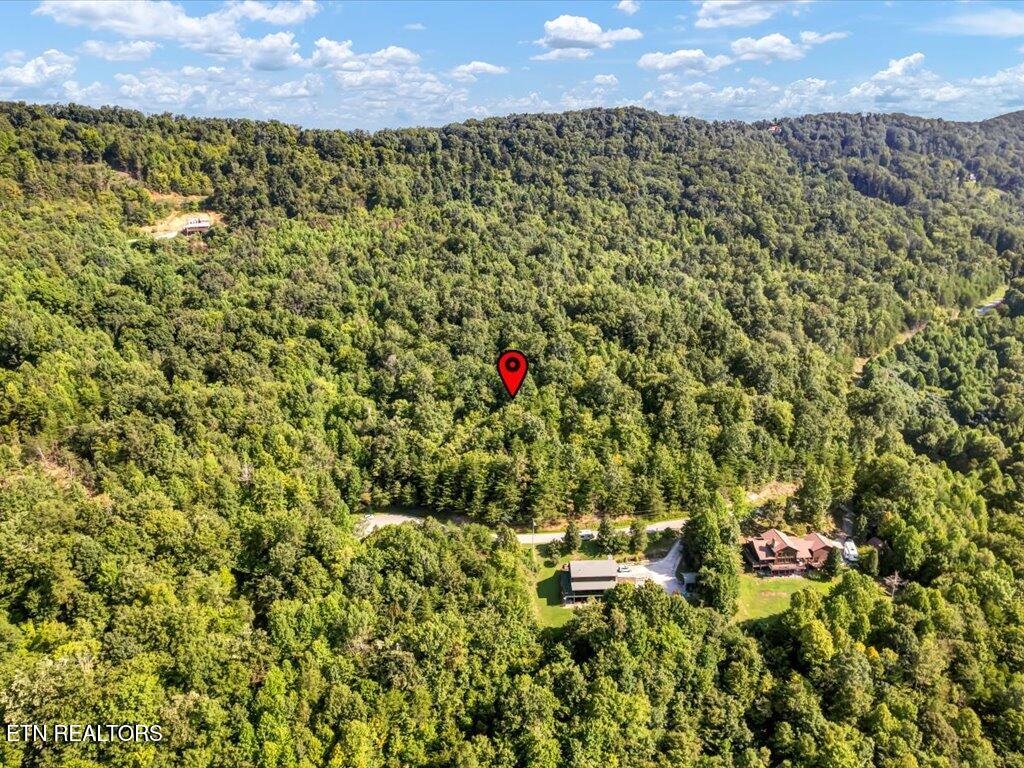 Lot 508 Hidden Springs Road New Tazewell, TN 37825 - Photo 7 of 33 Lot 508 Hidden Springs Rd - 6