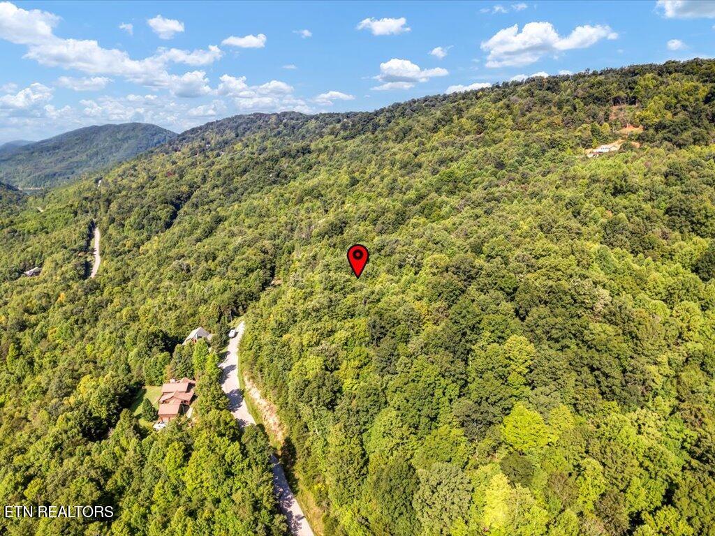 Lot 508 Hidden Springs Road New Tazewell, TN 37825 - Photo 10 of 33 Lot 508 Hidden Springs Rd - 8