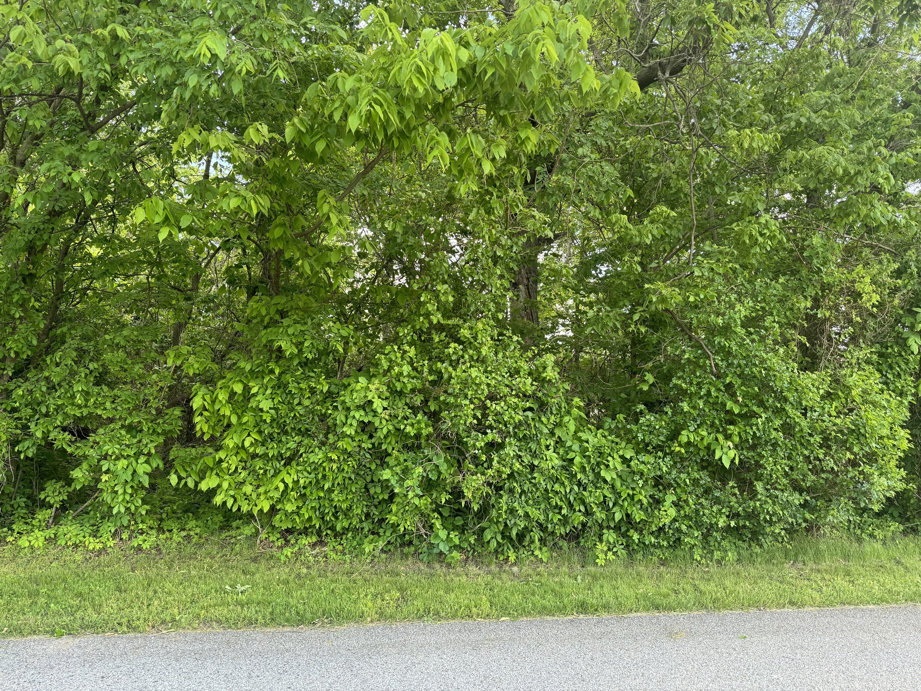 2717 North 6th 1/2 St  