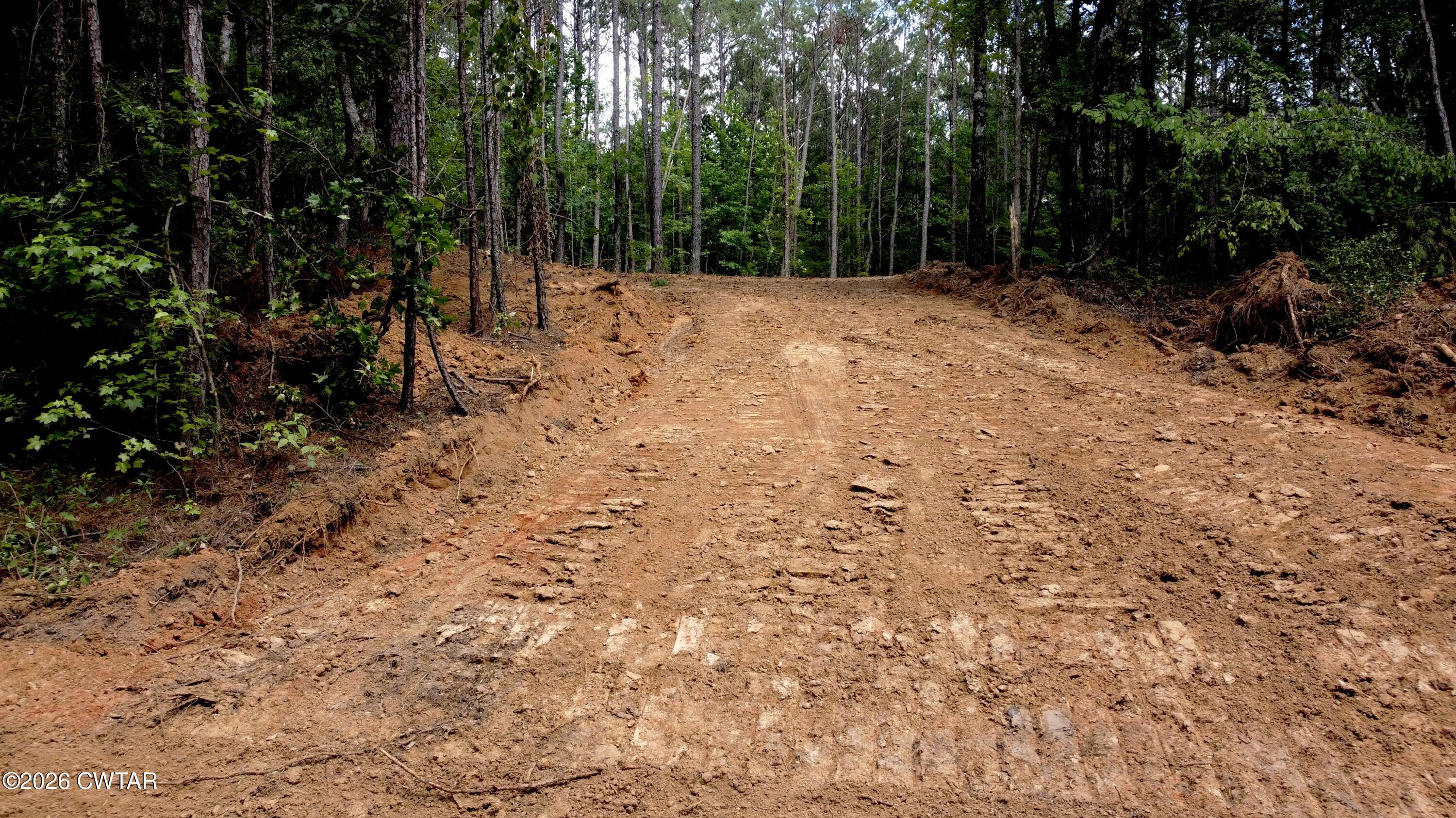 0 Old Lula Road Reagan, TN 38368 - Photo 8 of 18 dji_fly_20260621_150224_209_178207218318