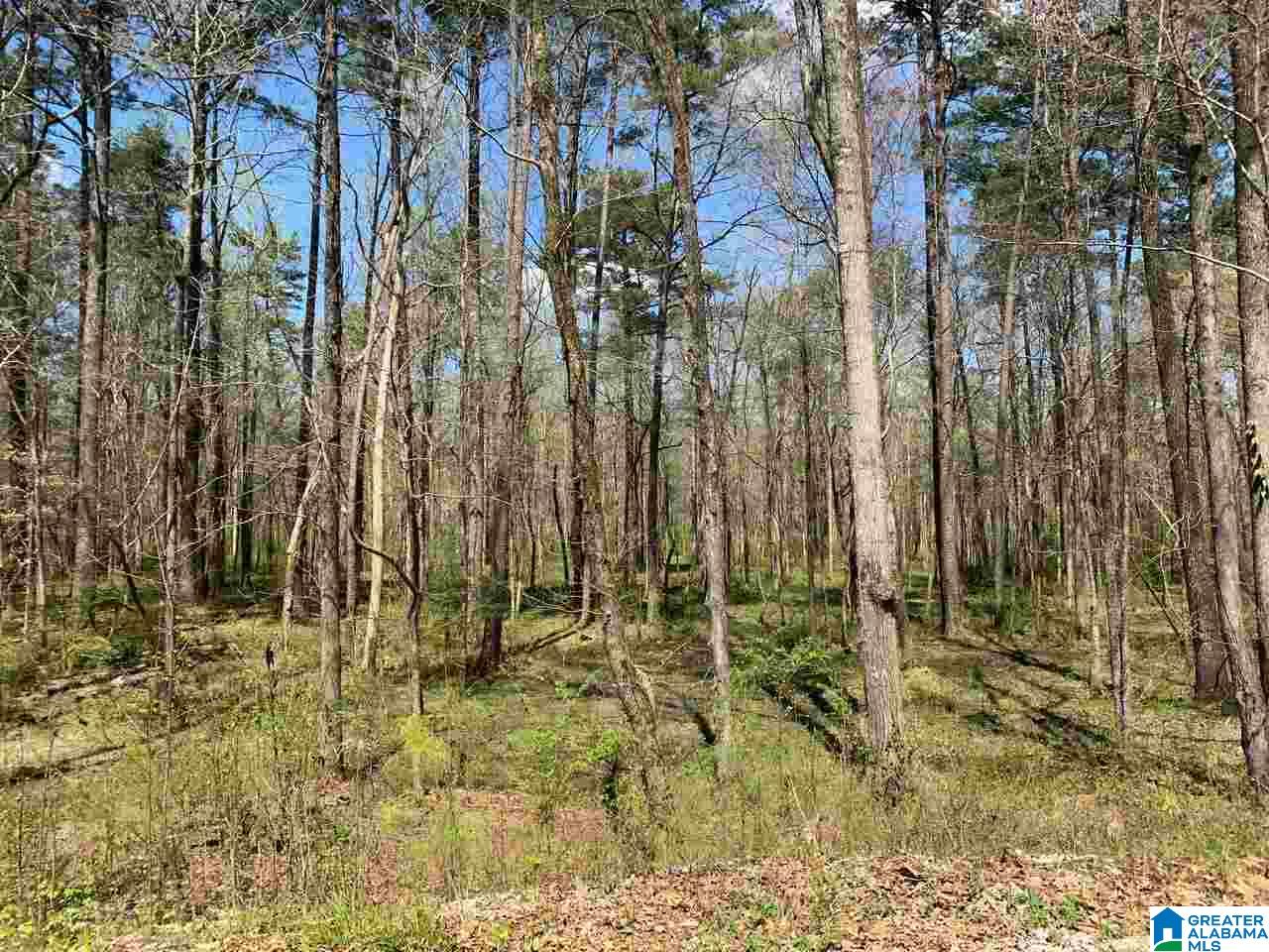 5925 Cahaba Valley Road, Unit 1 Birmingham, AL 35242 - Photo 8 of 21