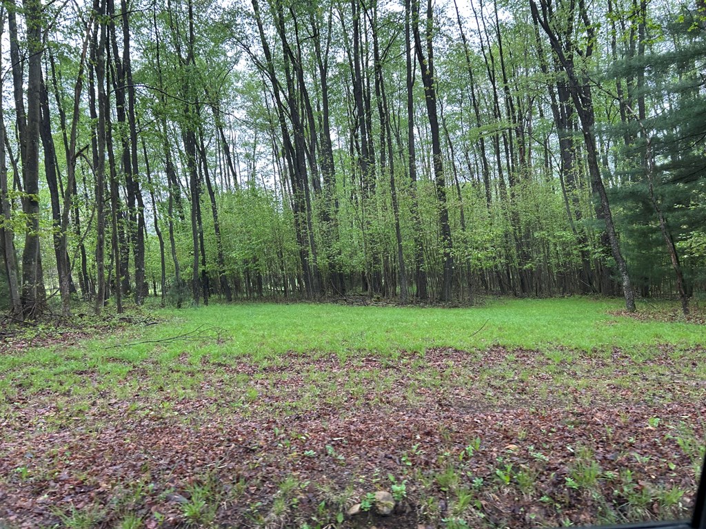 899 Bear Run Road Marienville, PA 16239 - Photo 14 of 21
