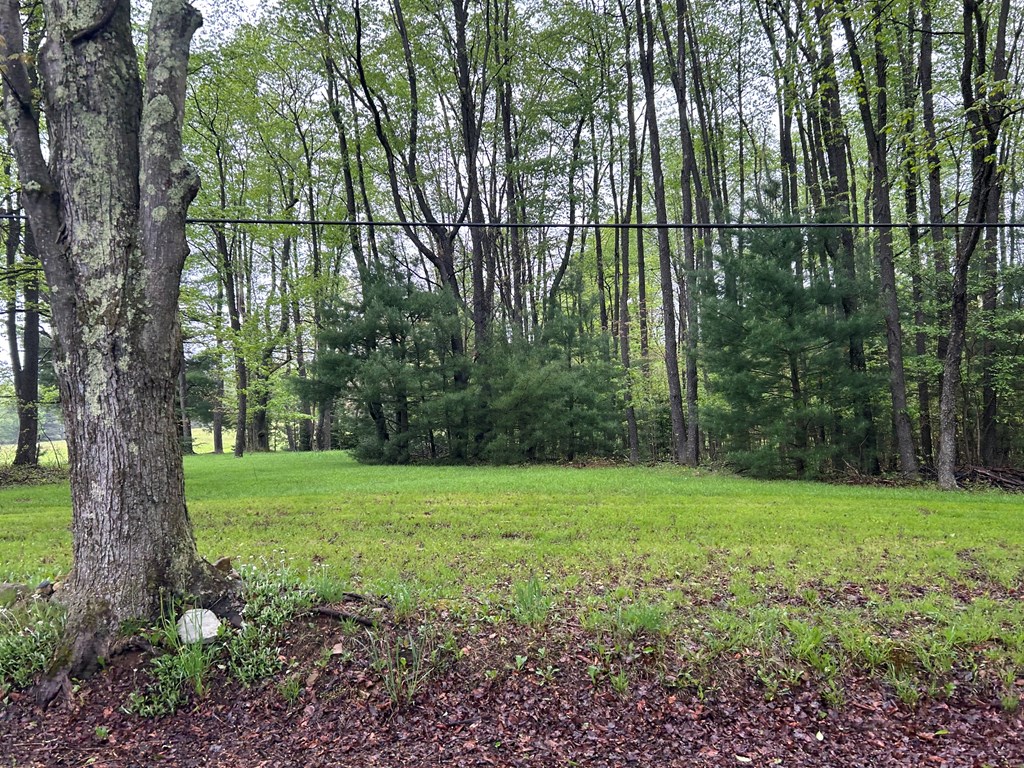 899 Bear Run Road Marienville, PA 16239 - Photo 19 of 21