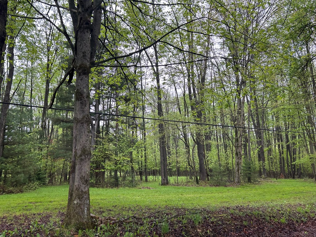 899 Bear Run Road Marienville, PA 16239 - Photo 20 of 21