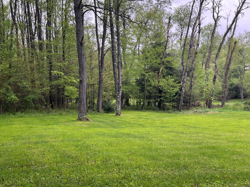 899 Bear Run Road Marienville, PA 16239 - Photo 4 of 21