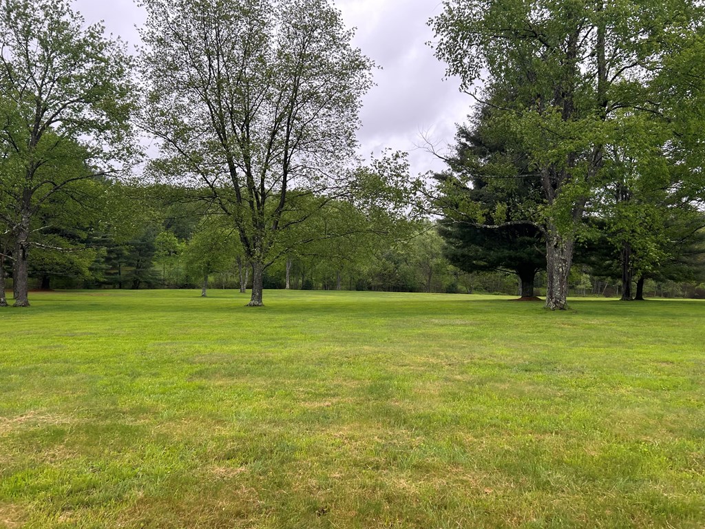 899 Bear Run Road Marienville, PA 16239 - Photo 8 of 21