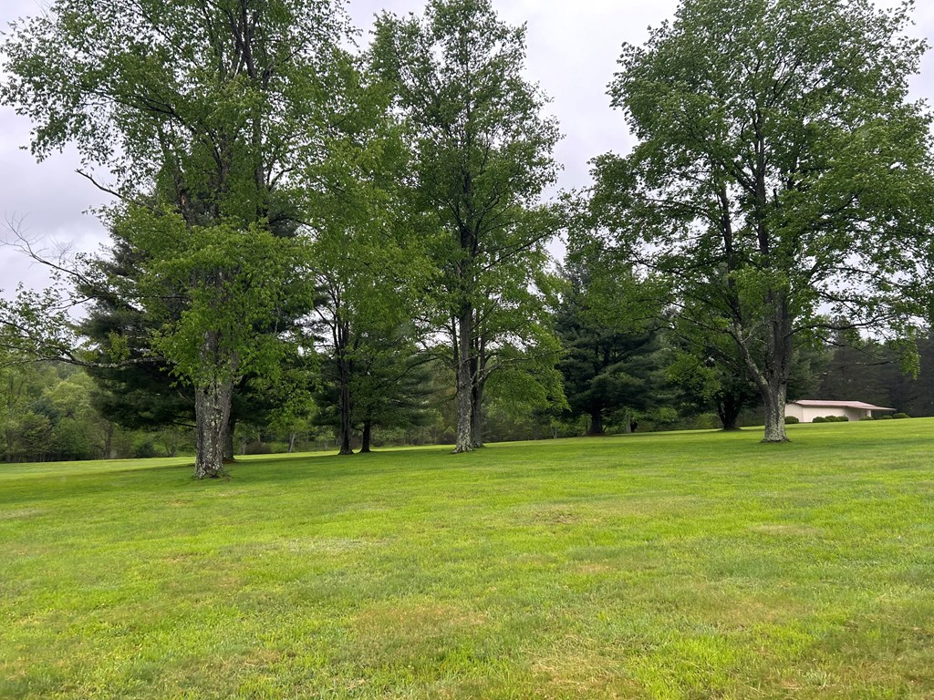 899 Bear Run Road Marienville, PA 16239 - Photo 9 of 21