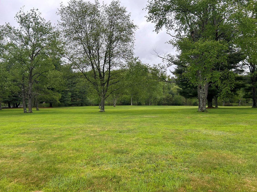 899 Bear Run Road Marienville, PA 16239 - Photo 10 of 21