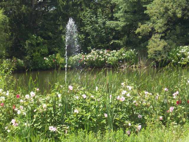 3926 Hazelton-Etna Road Southwest Pataskala, OH 43062 - Photo 16 of 18 Gallery Image 16