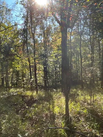 $449,500 | 53 Co Road, Carrollton, MS 38917