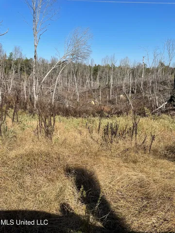 $449,500 | 53 Co Road, Carrollton, MS 38917