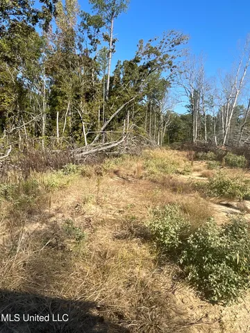 $449,500 | 53 Co Road, Carrollton, MS 38917