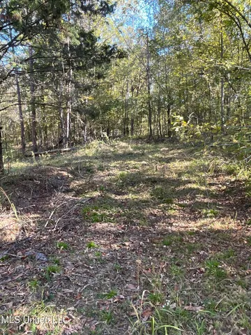 $449,500 | 53 Co Road, Carrollton, MS 38917