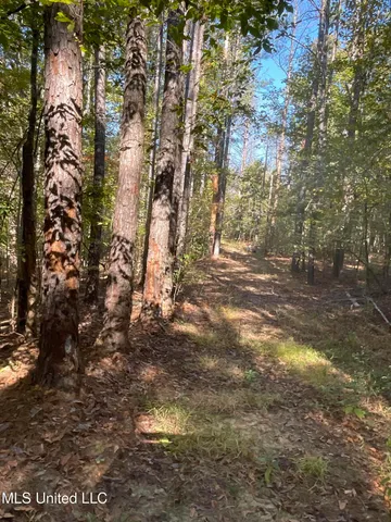 $449,500 | 53 Co Road, Carrollton, MS 38917