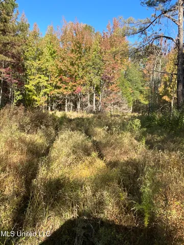 $449,500 | 53 Co Road, Carrollton, MS 38917