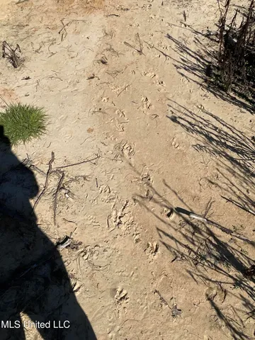 $449,500 | 53 Co Road, Carrollton, MS 38917