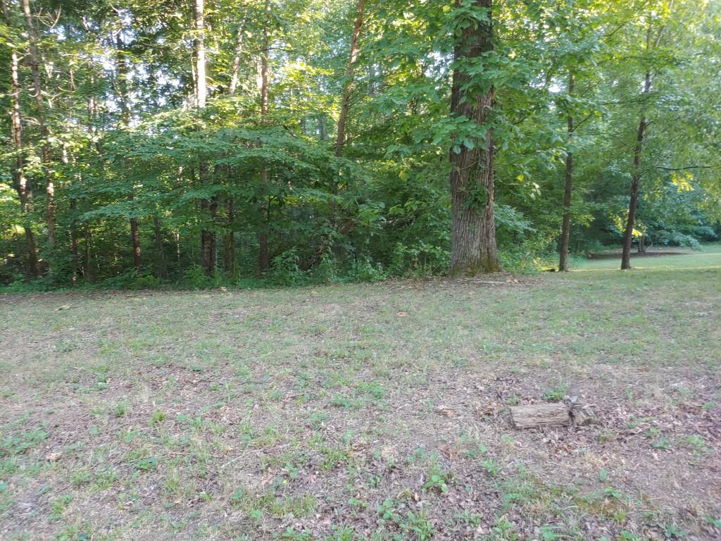103-105 Randall Fugate Road Spring City, TN 37381 - Photo 1 of 7 1