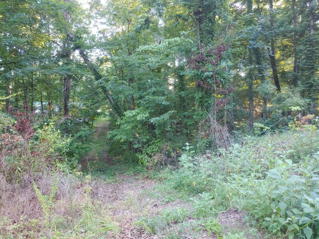 103-105 Randall Fugate Road Spring City, TN 37381 - Photo 3 of 7 3