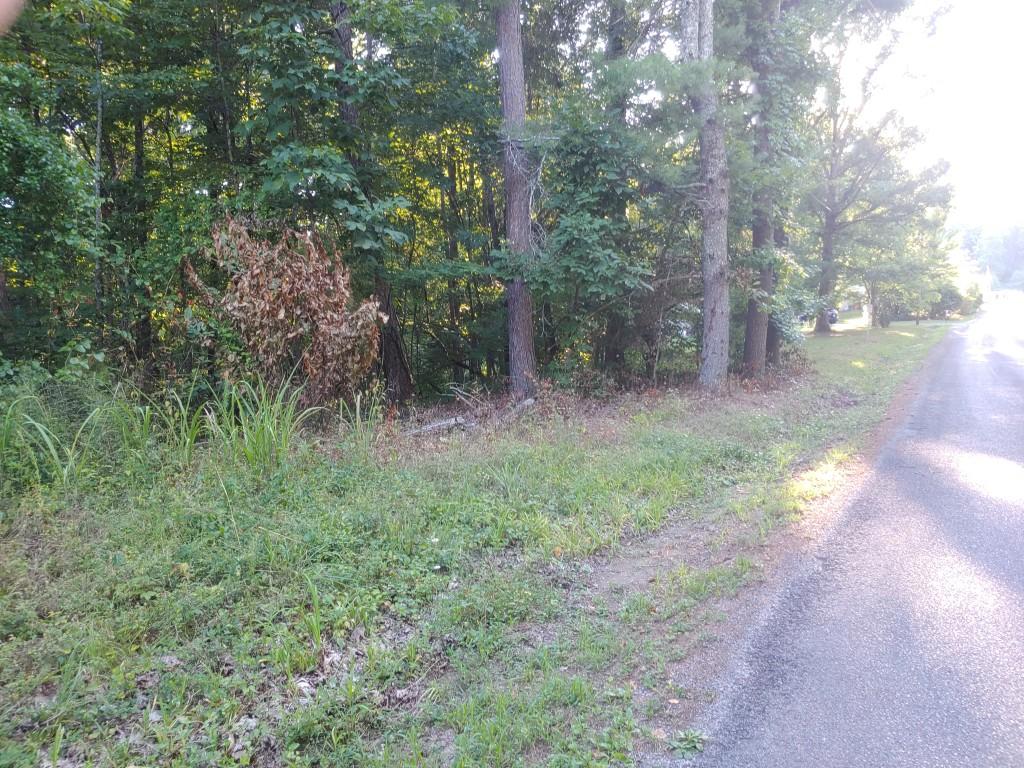 103-105 Randall Fugate Road Spring City, TN 37381 - Photo 4 of 7 4