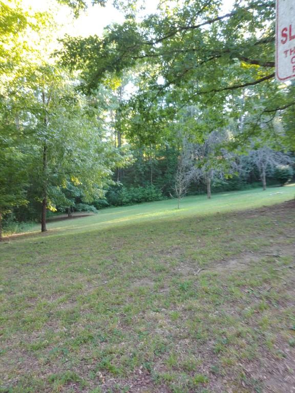 103-105 Randall Fugate Road Spring City, TN 37381 - Photo 5 of 7 5