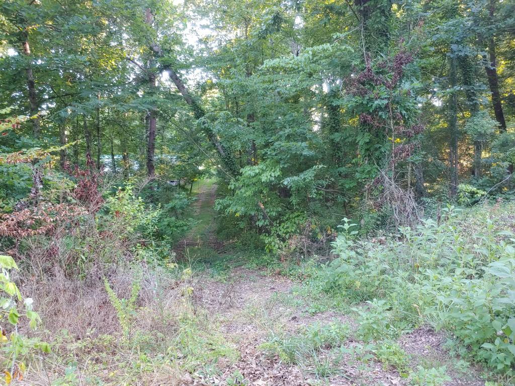 103-105 Randall Fugate Road Spring City, TN 37381 - Photo 6 of 7 6