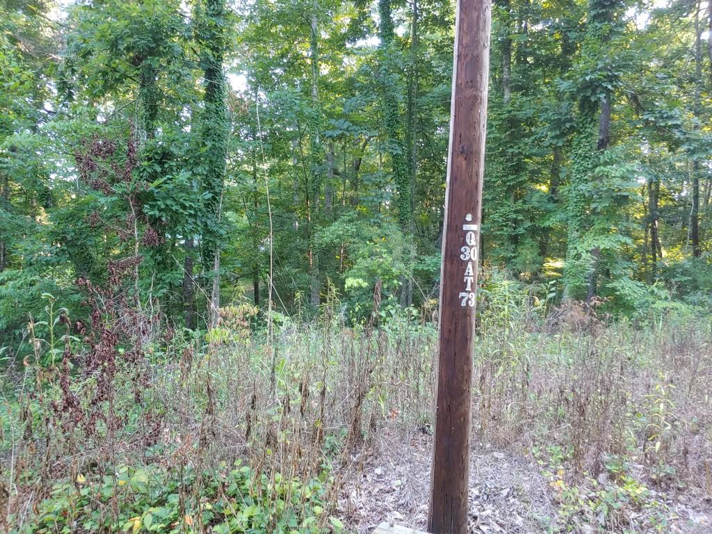 103-105 Randall Fugate Road Spring City, TN 37381 - Photo 7 of 7 7