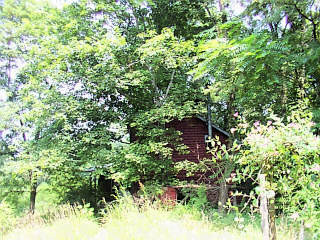 1256 Cherry Tree Ridge Road Burkesville, KY 42717 - Photo 1 of 1 Photo 1