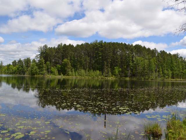 W5196 Jelinek Road Tomahawk, WI 54487 - Photo 3 of 20 Gallery Image 3