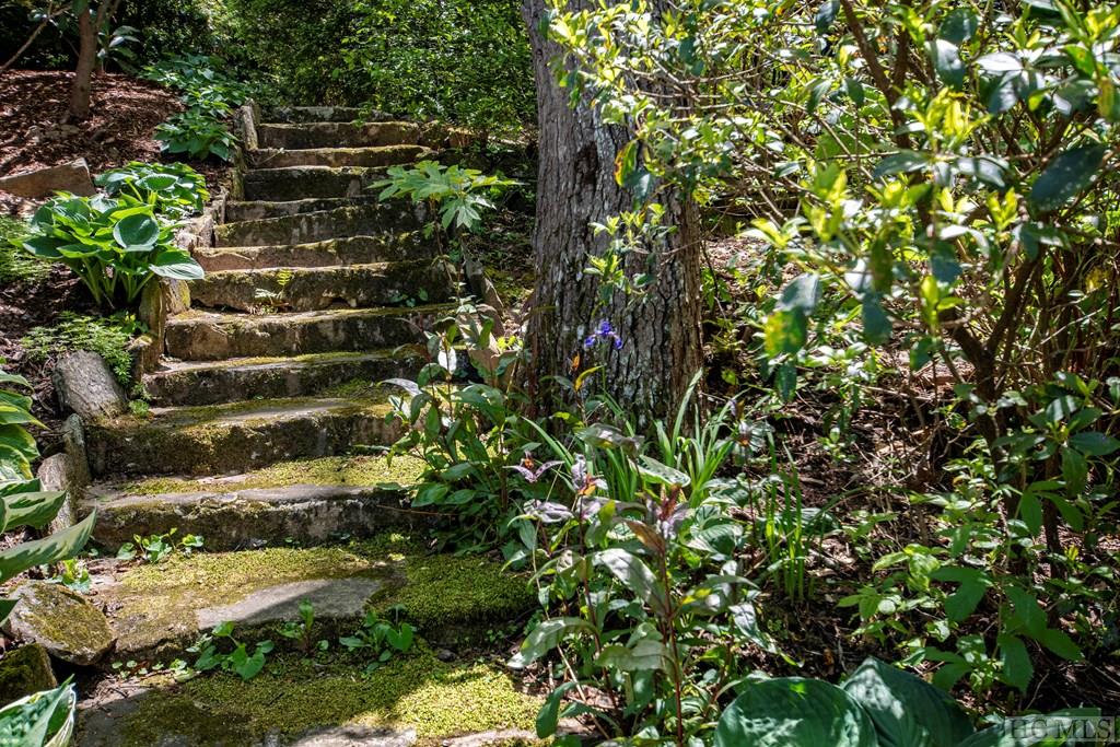 311 Queen Mountain Road Highlands, NC 28741 - Photo 8 of 44 Gallery Image 8