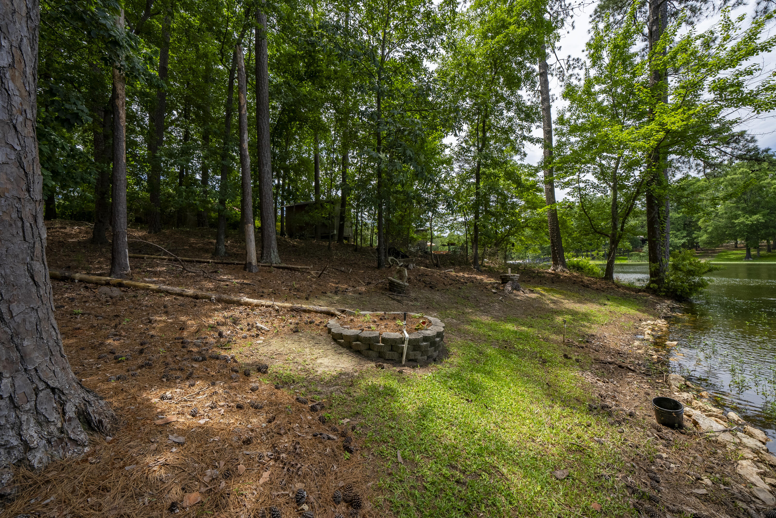 1239 Shull Island Road Gilbert, SC 29054 - Photo 44 of 52