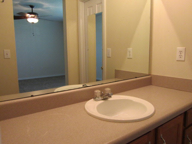 8781 Shannon's Mill Road Foley, AL 36535 - Photo 8 of 17 Master Bath