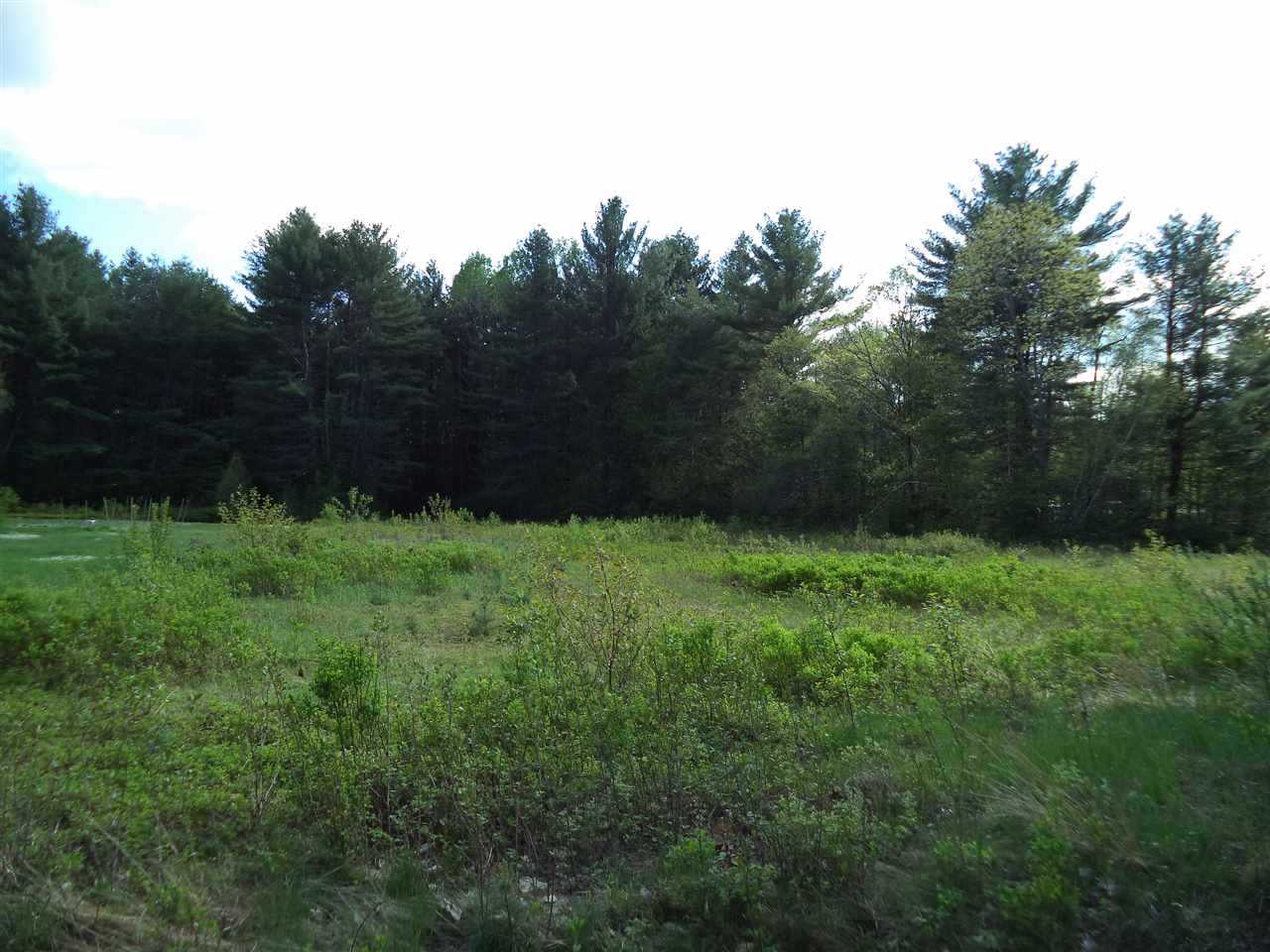 Lot 51 Beede Flats Road Sandwich, NH 03227 - Photo 1 of 6