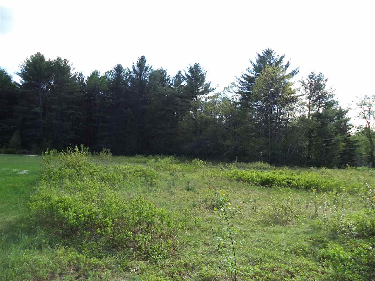 Lot 51 Beede Flats Road Sandwich, NH 03227 - Photo 2 of 6