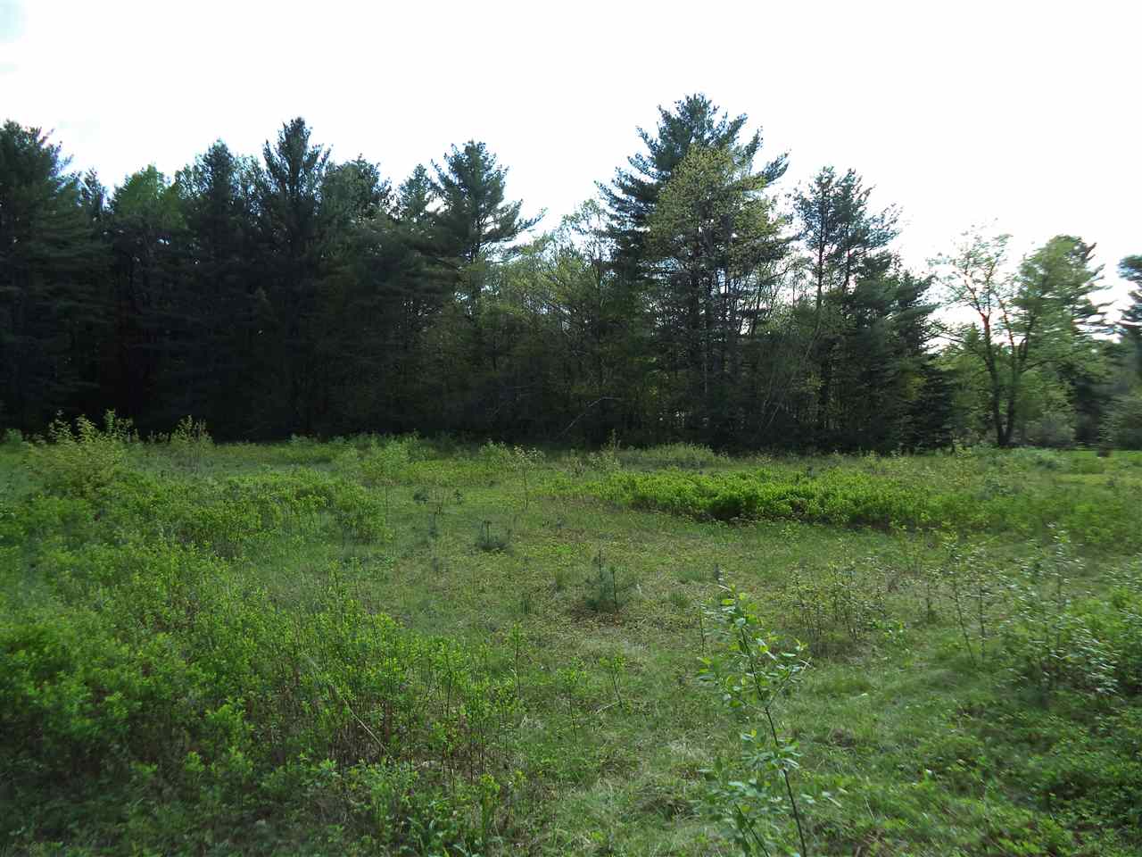 Lot 51 Beede Flats Road Sandwich, NH 03227 - Photo 3 of 6