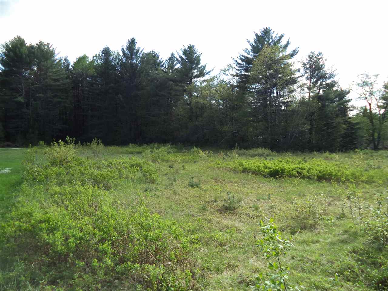 Lot 51 Beede Flats Road Sandwich, NH 03227 - Photo 4 of 6
