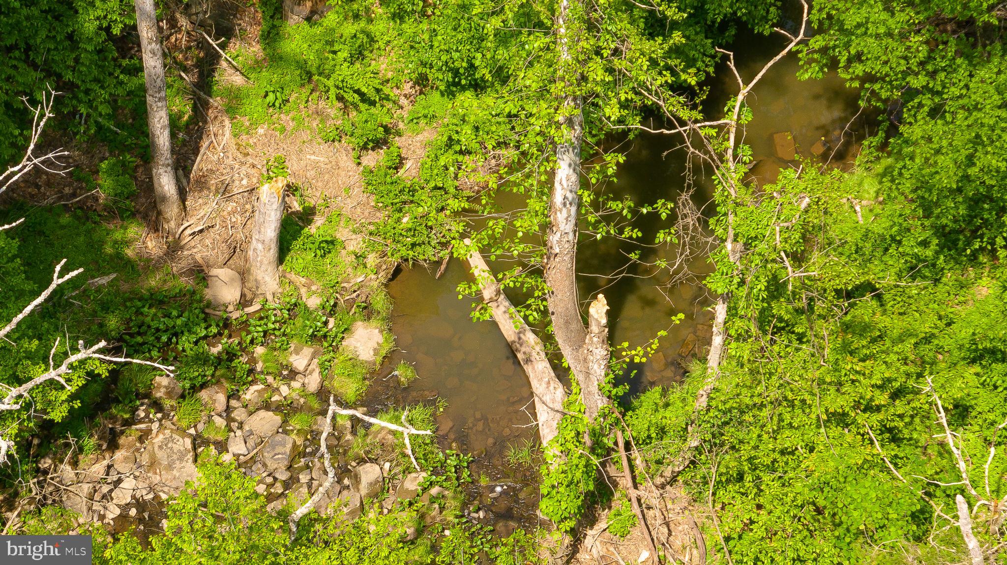 21043 Cedar Grove Road Culpeper, VA 22701 - Photo 8 of 56 Stream