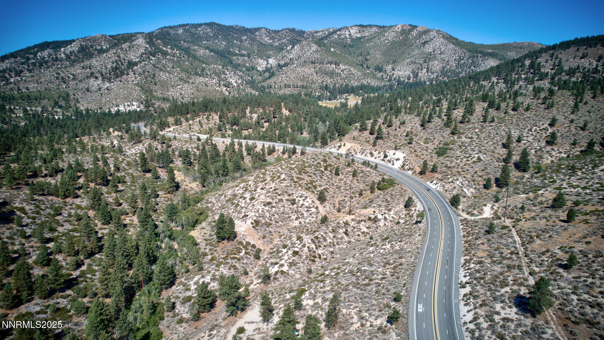 5645 Highway 50 Carson City, NV 89705 - Photo 7 of 11 a view of a forest with a mountain