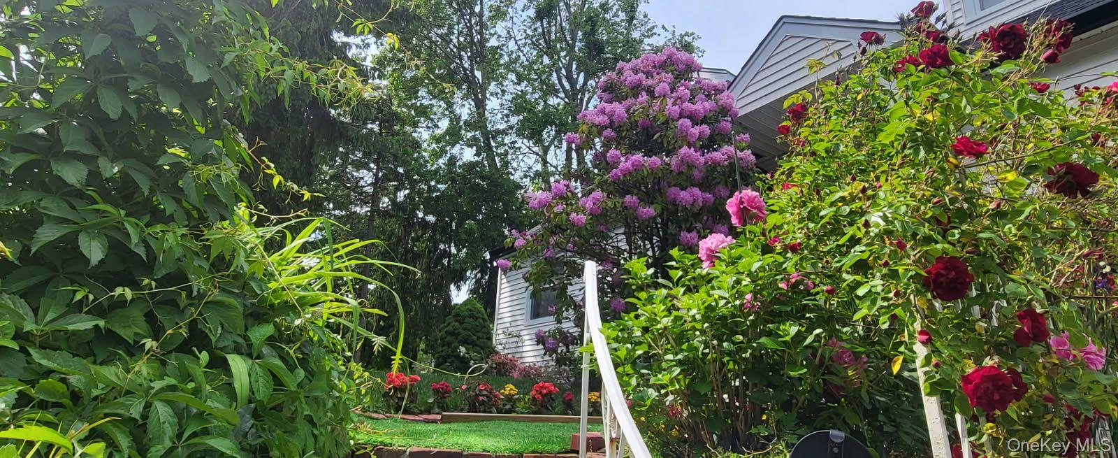 257 Schenck Avenue Great Neck, NY 11021 - Photo 2 of 9 a picture of flowers