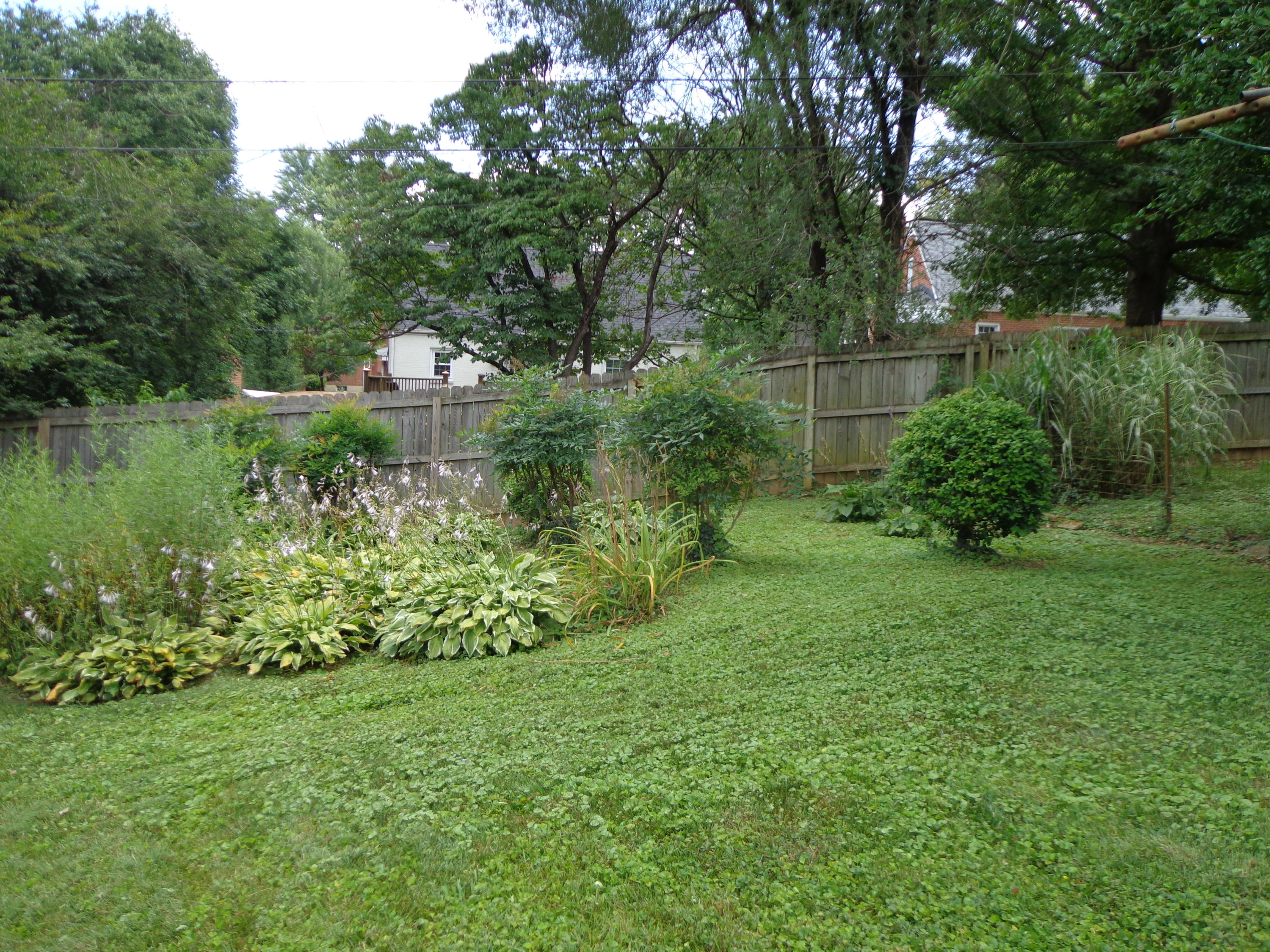 2330 Carlton Road Southwest Roanoke, VA 24015 - Photo 52 of 54 DSC04298