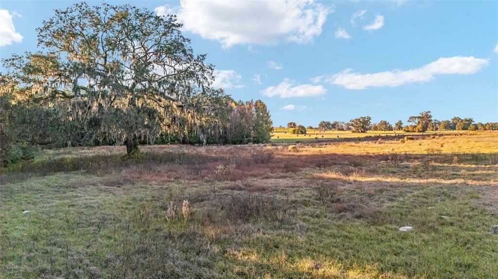 Tbd Southeast 28th Terrace Road Ocala, FL 34480 - Photo 13 of 20 a view of a lake with houses in the back