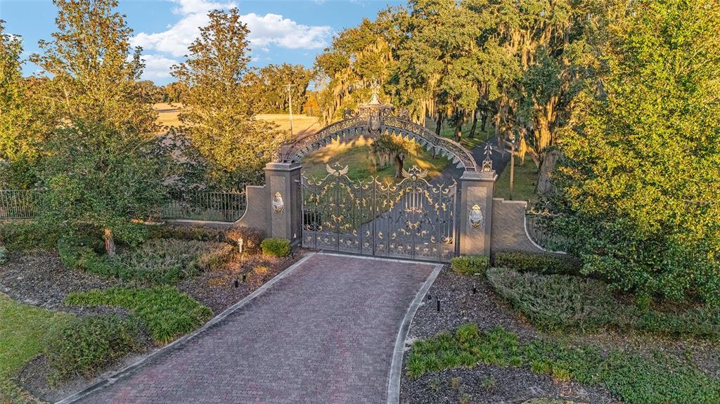 Tbd Southeast 28th Terrace Road Ocala, FL 34480 - Photo 18 of 20 a view of a yard with plants and a large tree
