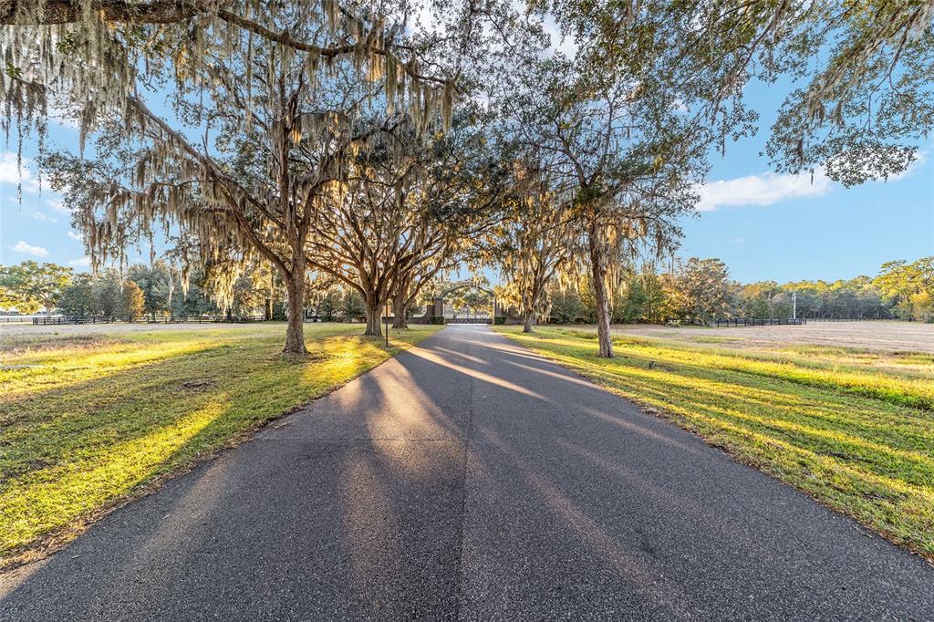 Tbd Southeast 28th Terrace Road Ocala, FL 34480 - Photo 20 of 20 a view of a swimming pool and an outdoor space