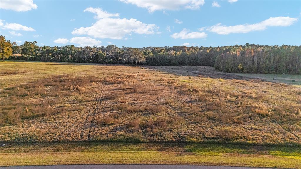 Tbd Southeast 28th Terrace Road Ocala, FL 34480 - Photo 7 of 20 a view of outdoor space and swimming pool