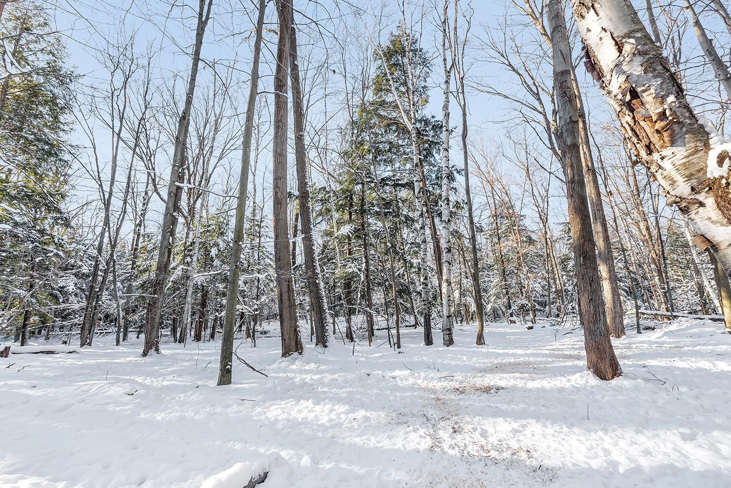 3398 Wilderness Trail Suamico, WI 54313 - Photo 35 of 42