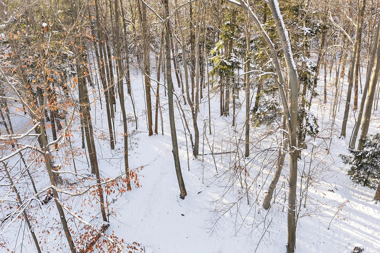 3398 Wilderness Trail Suamico, WI 54313 - Photo 40 of 42