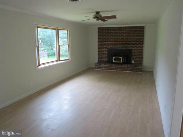 26820 Iron Gate Road Federalsburg, MD 21632 - Photo 6 of 13 Living Room fireplace